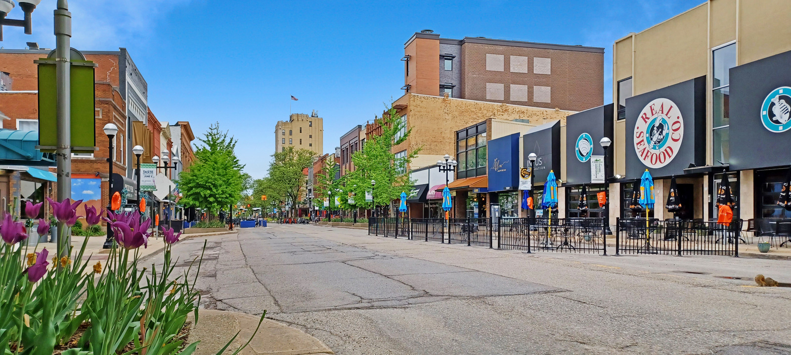 Ann Arbor